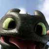 royajavid