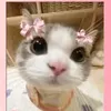 lilokurd4