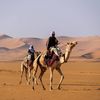 snafii_q8
