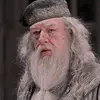 dumbledore048