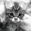phwiz.12