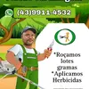 jardinagem74
