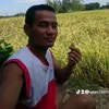 muoimuoi681
