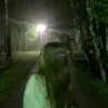 vladlenka