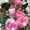 user0bpk5j79u6