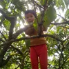 thanhthuy15735