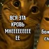 webkingg