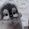 tatar_110212