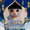 muhammadfardhan196