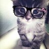 nika_0000p