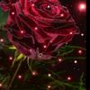 user4105076381747