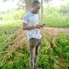 phemy1212gmail.com