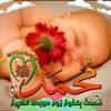 ayanahmed5653