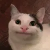 ._.ayaz
