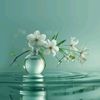 user8840786370086