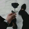 el_foshaia