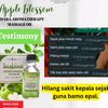 usahamestimantap