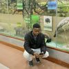 mj.quincy