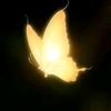brillith.m0