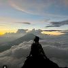 dewi.anjani026