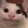 minminnono