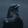 erik_qye.com