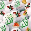 dyel33yfi5jd
