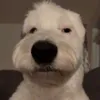 ogeovanny1