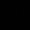 irrmgull