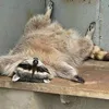 dyp1zjw5c5gn