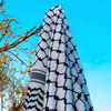 mohamednagah865