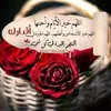 user8137548165627