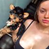 adotpabletoypoodles