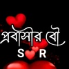 rokeya236