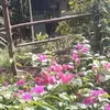 thnh.vn6527