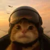 binhpahn26