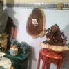 trung.van83