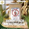 produsen benih padi dan jagung