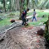 rahmat900608