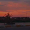 o8kjh