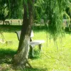 tr.tinh.ngmuhoy250310