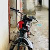Malik302