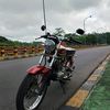 rafi_laww