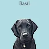 basilthelab