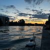 suri.berlino3o