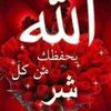 user7415272262036
