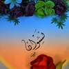 nashwan391