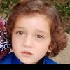 alhamwazir11