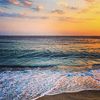 cansu0448_