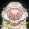 tounwanted